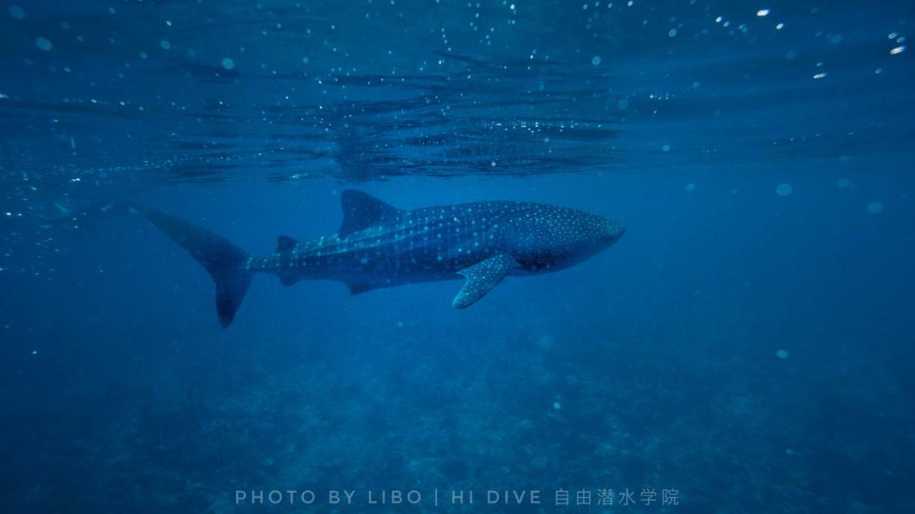 Ithaa Dhigurah Maldives Dhigurah (Alif Dhaal Atoll) Exteriér fotografie