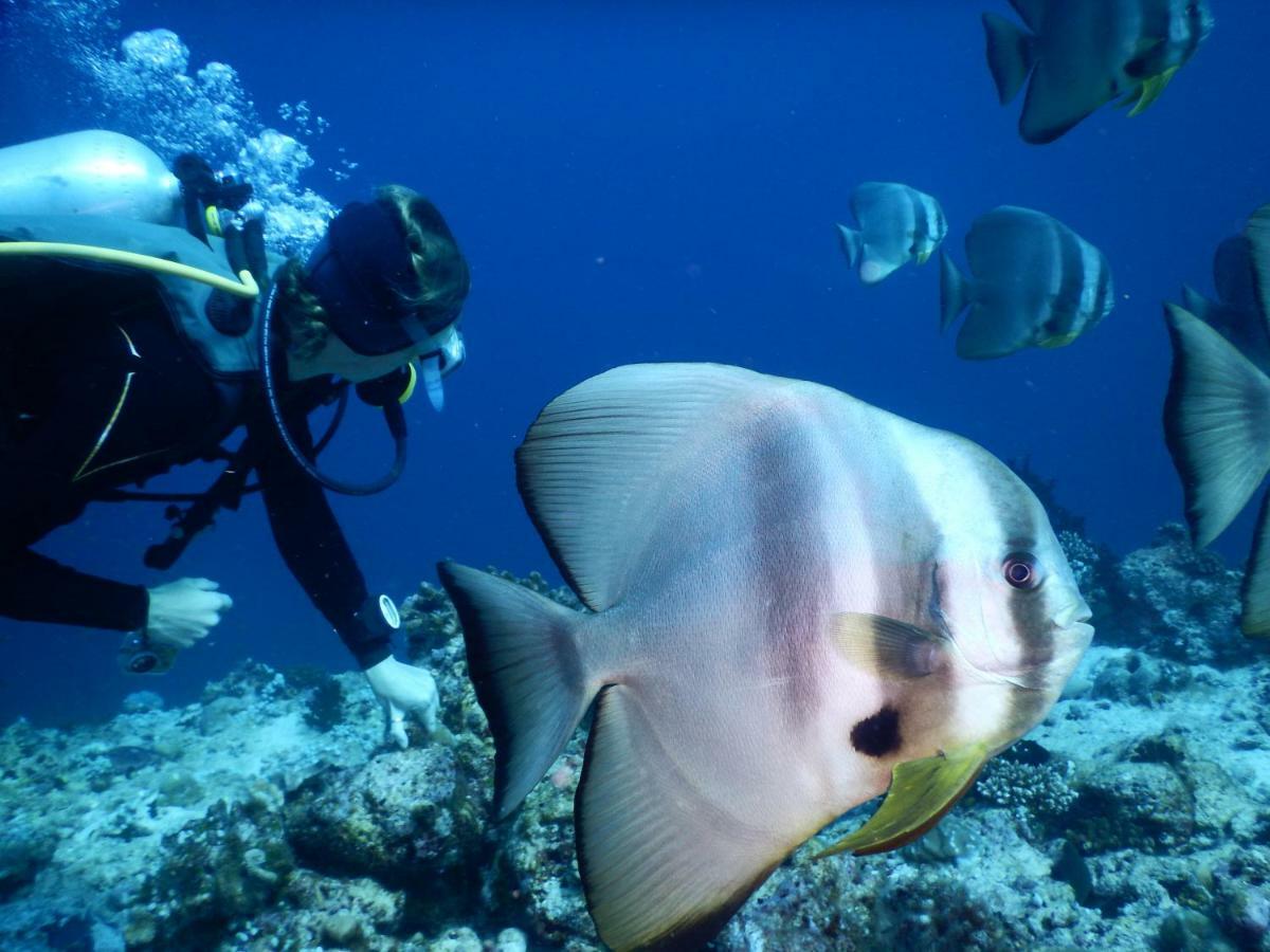 Ithaa Dhigurah Maldives Dhigurah (Alif Dhaal Atoll) Exteriér fotografie