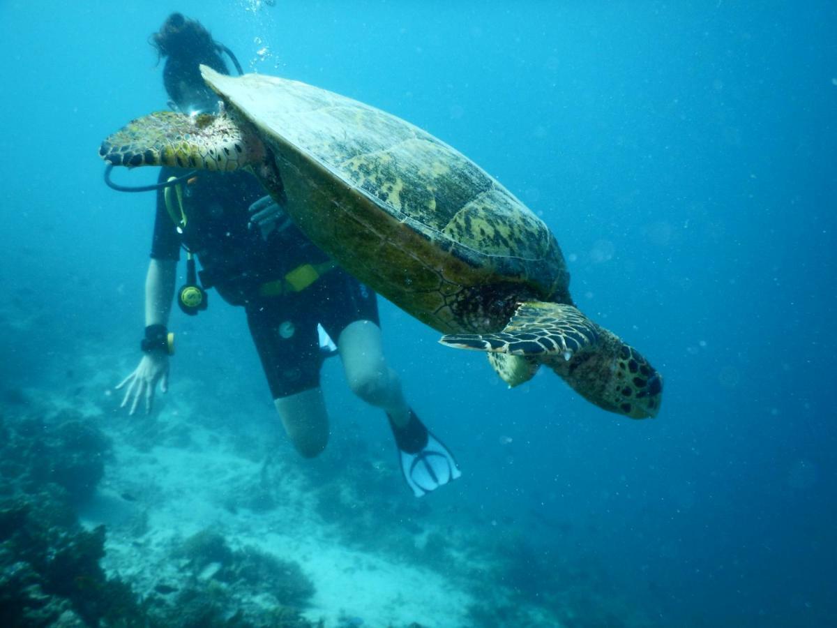 Ithaa Dhigurah Maldives Dhigurah (Alif Dhaal Atoll) Exteriér fotografie